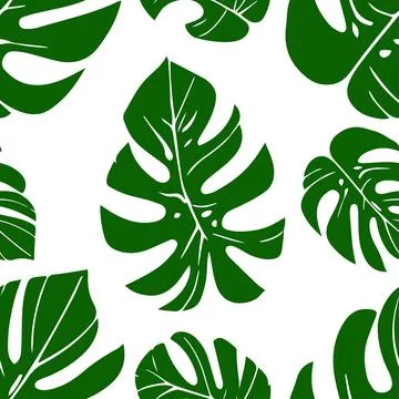 Seamless tropical monstera leaf pattern green foliage vector background Stock Illustration