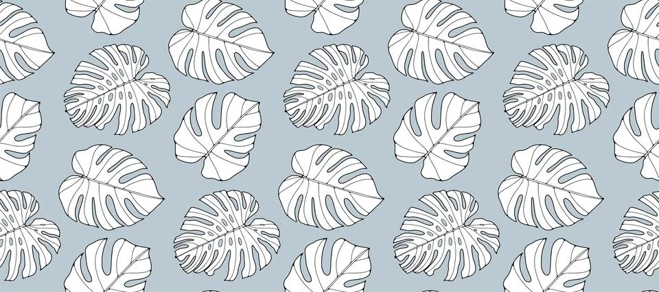 Seamless tropical pattern with white monstera leaves on a blue background Stock Illustration