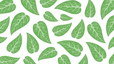 Seamless tropical spinach styled leaf pattern with green tones Stock Footage 318201121