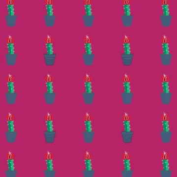 Seamless tropical summer pattern with cactus and succulents. beautiful illust Stock Illustration