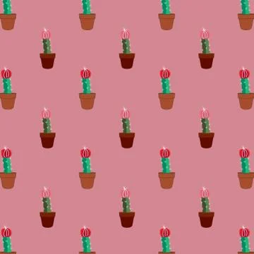 Seamless tropical summer pattern with cactus and succulents. beautiful illust Stock Illustration