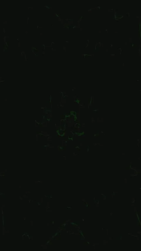 Seamless tunnel video loop creates a mesmerizing visual effect for relaxing.. Stock Footage 321569308