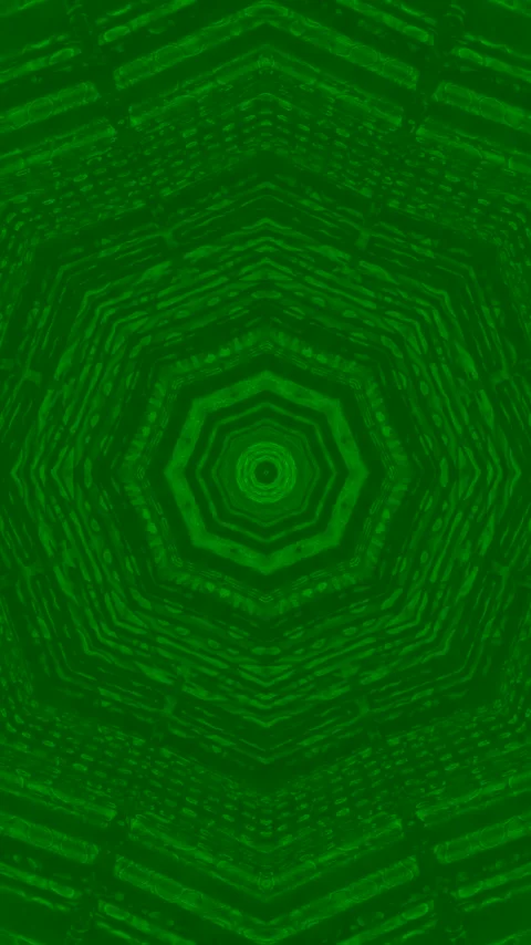 Seamless tunnel video vj loop screensaver with vibrant green patterns and i.. Stock Footage 321263482