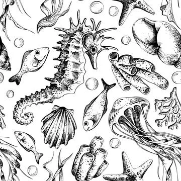 Seamless underwater pattern with line art seahorse, jellyfish, and various Stock Illustration