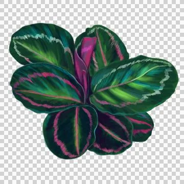Seamless Unique leaf in digital painting. Stock Illustration
