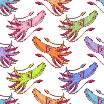 Seamless varicolored squids Stock Illustration
