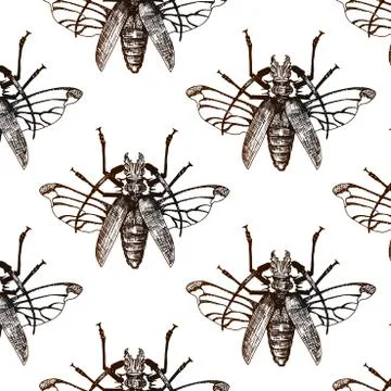 Seamless vector background with hand drawn insect Stock Illustration