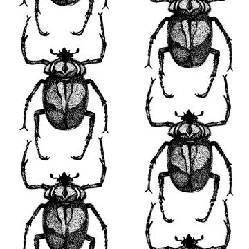 Seamless vector background with hand drawn insect Stock Illustration