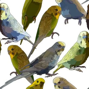 Seamless vector background of parrots Stockillustratie