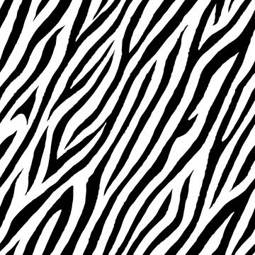 Seamless vector black and white tiger fur pattern. Stylish wild zebra print. イラスト素材