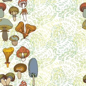 Seamless vector border of different mushrooms. Stock Illustration