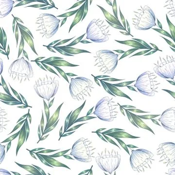 Seamless vector floral pattern with hand drawn flowers and leaves on white ba Stock Illustration