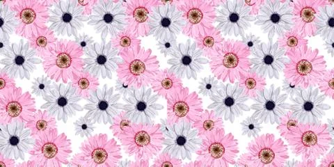 SEAMLESS VECTOR FLOWER PATTERN. Real flowers. Spring bright colors. Hi spring Illustrazione stock