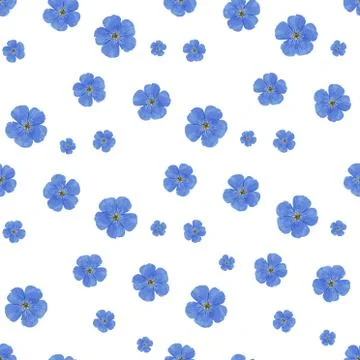 SEAMLESS VECTOR FLOWER PATTERN. White background. Spring bright colors. blue. Illustrazione stock