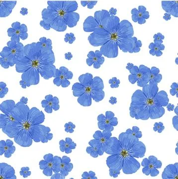 SEAMLESS VECTOR FLOWER PATTERN. White background. Spring bright colors. blue. Stockillustratie