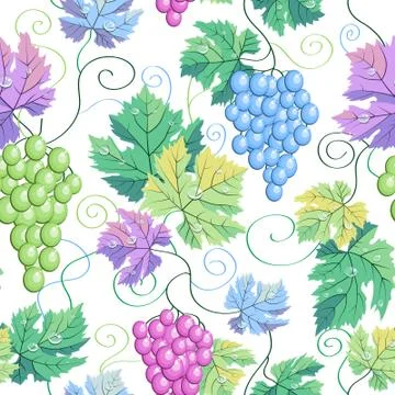 Seamless vector grapes white pattern background. In blue purple pink green cu Stock Illustration