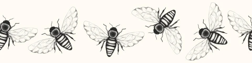 Seamless vector horizontal pattern with black and white hand drawn honey bees Stock Illustration