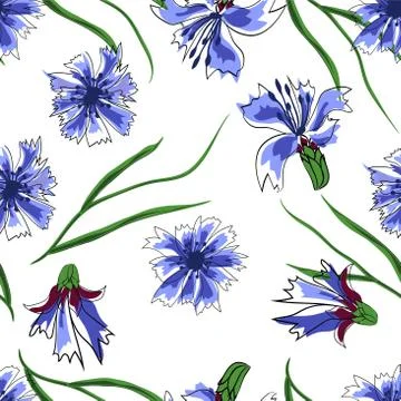 Seamless vector illustration with cornflowers and dragonflies on a light back Stock Illustration