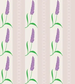 Seamless vector lavender pattern isolated on white background Stock Illustration