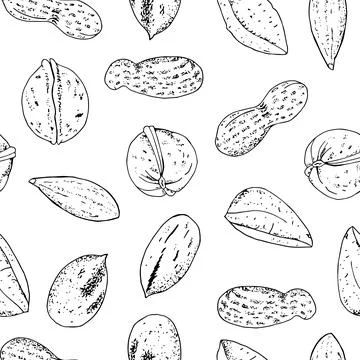 Seamless vector nuts pattern. Outline hand drawn illustration. Black and whit Stock Illustration