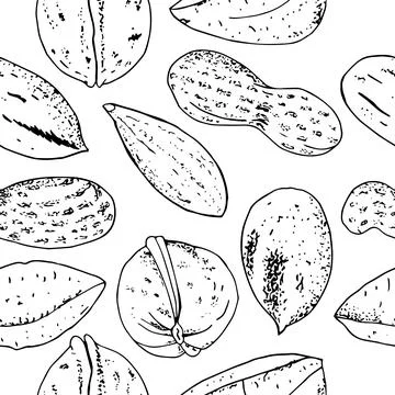 Seamless vector nuts pattern. Outline hand drawn illustration. Black and whit Stock Illustration