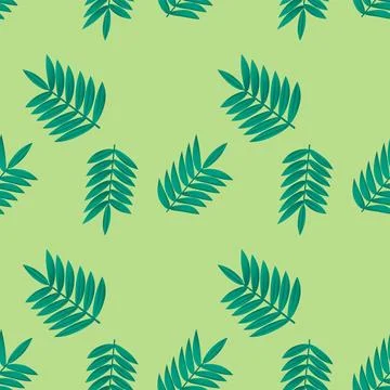 Seamless vector pattern with acacia branches and green background. Vegetal .. Stock Illustration