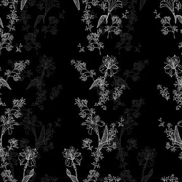 Seamless vector pattern with alstroemeria on a black background Stock Illustration
