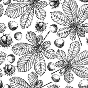 Seamless vector pattern with autumn leaves. Chestnut leaf and nu Stock Illustration