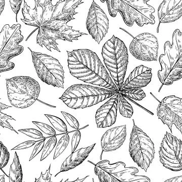 Seamless vector pattern with autumn leaves. Hand drawn detailed Stock Illustration