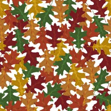 Seamless vector pattern with autumn leaves in seasonal colors. Oak leaf on wh Illustrazione stock