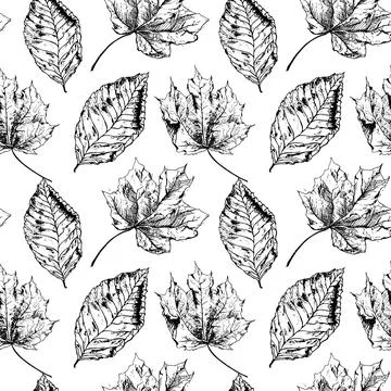 Seamless vector pattern with autumn leaves Stock Illustration