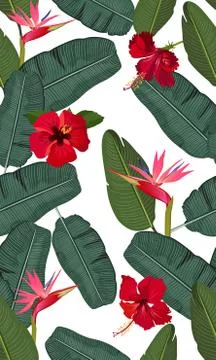 Seamless vector pattern banana leaves with red hibiscus flower and pink bird  Illustrazione stock