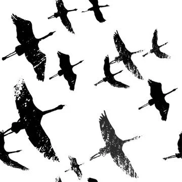Seamless vector pattern with birds. Stock Illustration