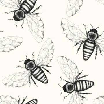 Seamless vector pattern with black and white hand drawn honey bees isolated o Stock Illustration