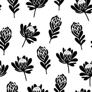 Seamless vector pattern black and white protea flowers Stock Illustration