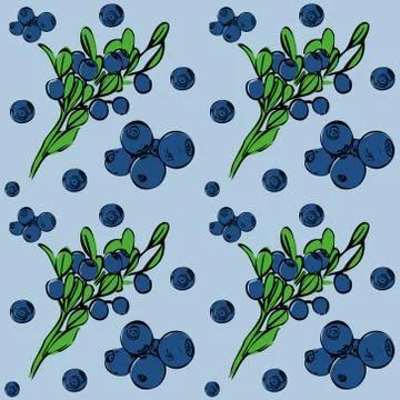 Seamless vector pattern with blueberries on a lilac isolated background. Hand Stock Illustration