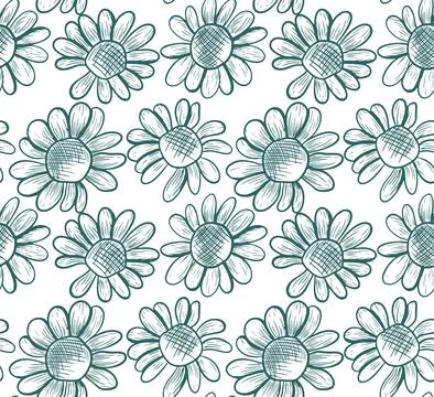 Seamless vector pattern with chamomile flowers. Hand-drawn line illustratio.. Stock Illustration