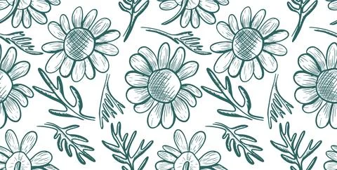 Seamless vector pattern with chamomile flowers and leaves. Hand-drawn line .. Stock Illustration