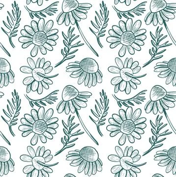 Seamless vector pattern with chamomile flowers and leaves on a white backgr.. Stock Illustration