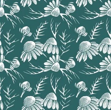 A seamless vector pattern with chamomile flowers and leaves arranged in an in Illustrazione stock