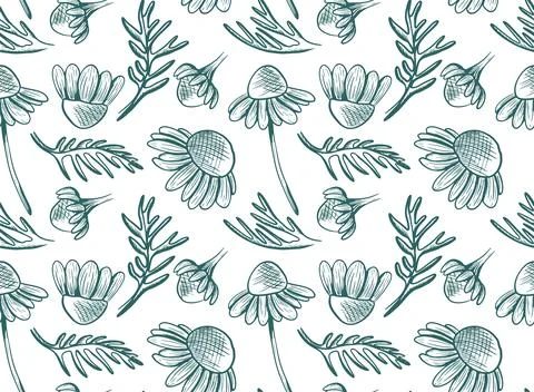 Seamless vector pattern with chamomile flowers and leaves on a stem. Monoch.. Illustrazione stock