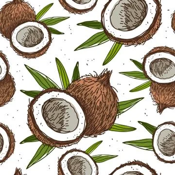 Seamless vector pattern of coconuts 스톡 일러스트
