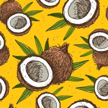 Seamless vector pattern of coconuts 스톡 일러스트