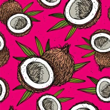 Seamless vector pattern of coconuts 스톡 일러스트
