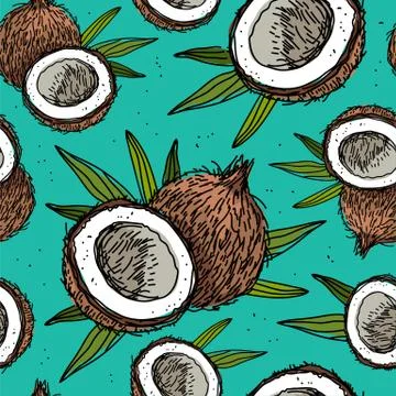Seamless vector pattern of coconuts 스톡 일러스트