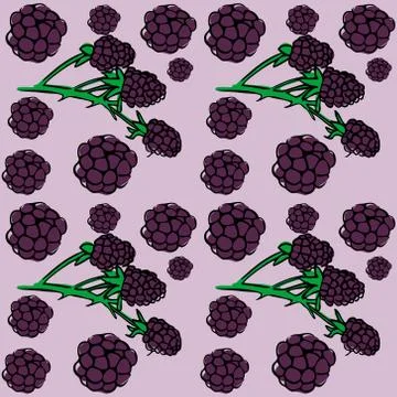 Seamless vector pattern of colored blackberries on a pink isolated background. Stock Illustration