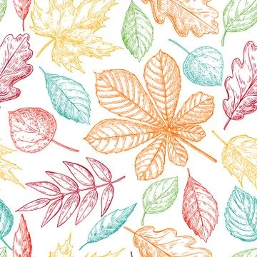 Seamless vector pattern with colorful autumn leaves. Hand drawn detailed bota 스톡 일러스트