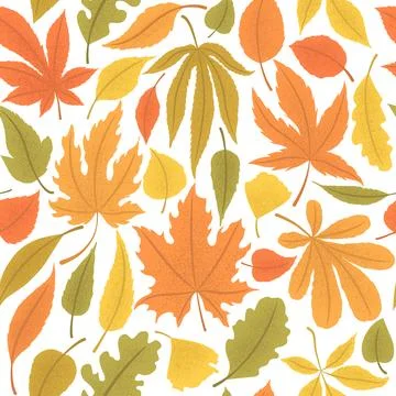 Seamless vector pattern with colorful autumn leaves isolated on white backg.. Illustrazione stock