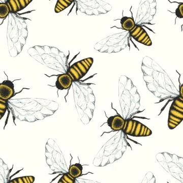 Seamless vector pattern with colorful hand drawn honey bees isolated on white Stock Illustration