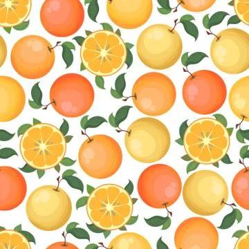 Seamless vector pattern with colorful oranges isolated on white background. N Illustrazione stock